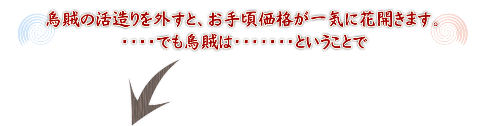 イカの活造りを外すと、お手頃価格が一気に花開きます。・・・・でもイカは・・・・・・・ということで
