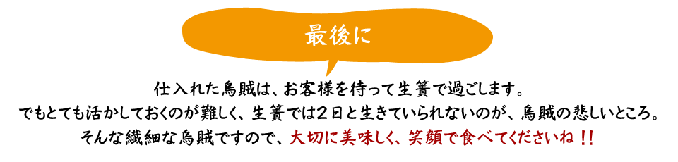 仕入れたイカは、お客様を待って生簀で過ごします。でもとても活かしておくのが難しく、生簀では2日と生きていられないのが、イカの悲しいところ。そんな繊細なイカですので、大切に美味しく、笑顔で食べてくださいね！！
