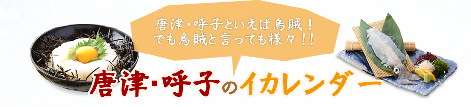 唐津・呼子といえばイカ。でもイカといっても様々