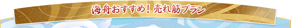 海舟おすすめ！売れ筋プラン