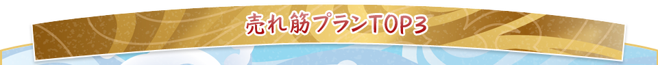 海舟おすすめ！売れ筋プラン